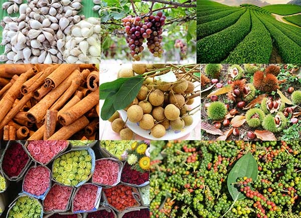 How to capitalise on opportunities to boost exports to Chinese market